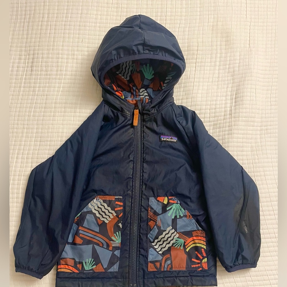 Patagonia Reversible Jacket
